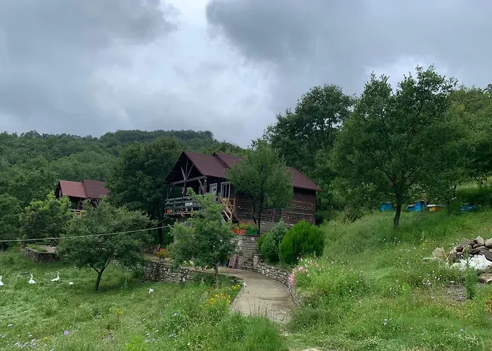 Origjina Farm