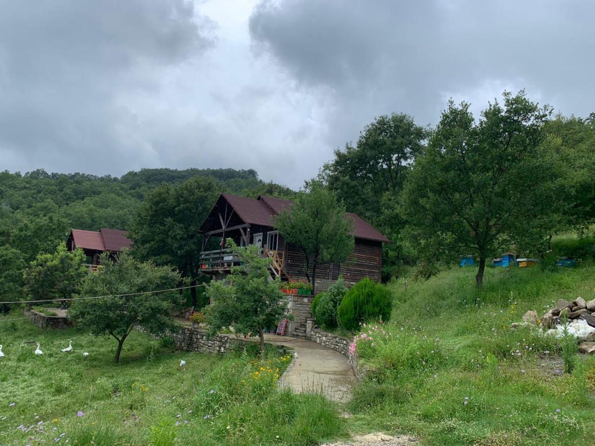 Origjina Farm * Permet